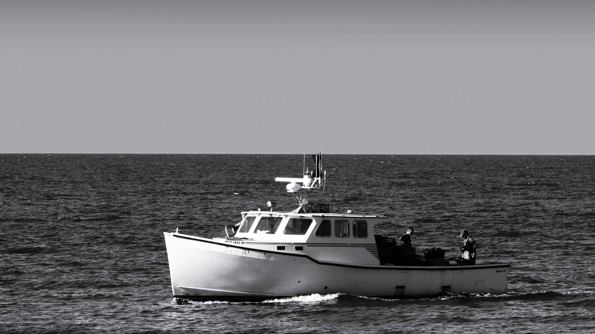 Blogster DJ King Lobsters